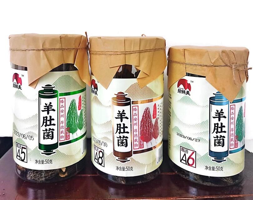 &#29233;&#28216;&#25103;&#23448;&#26041;&#32593;&#31449;&#45;&#29233;&#28216;&#25103;&#20840;&#31449;&#65;&#80;&#80;&#40;&#97;&#121;&#120;&#41;&#20013;&#22269;&#23448;&#26041;&#32593;&#31449;