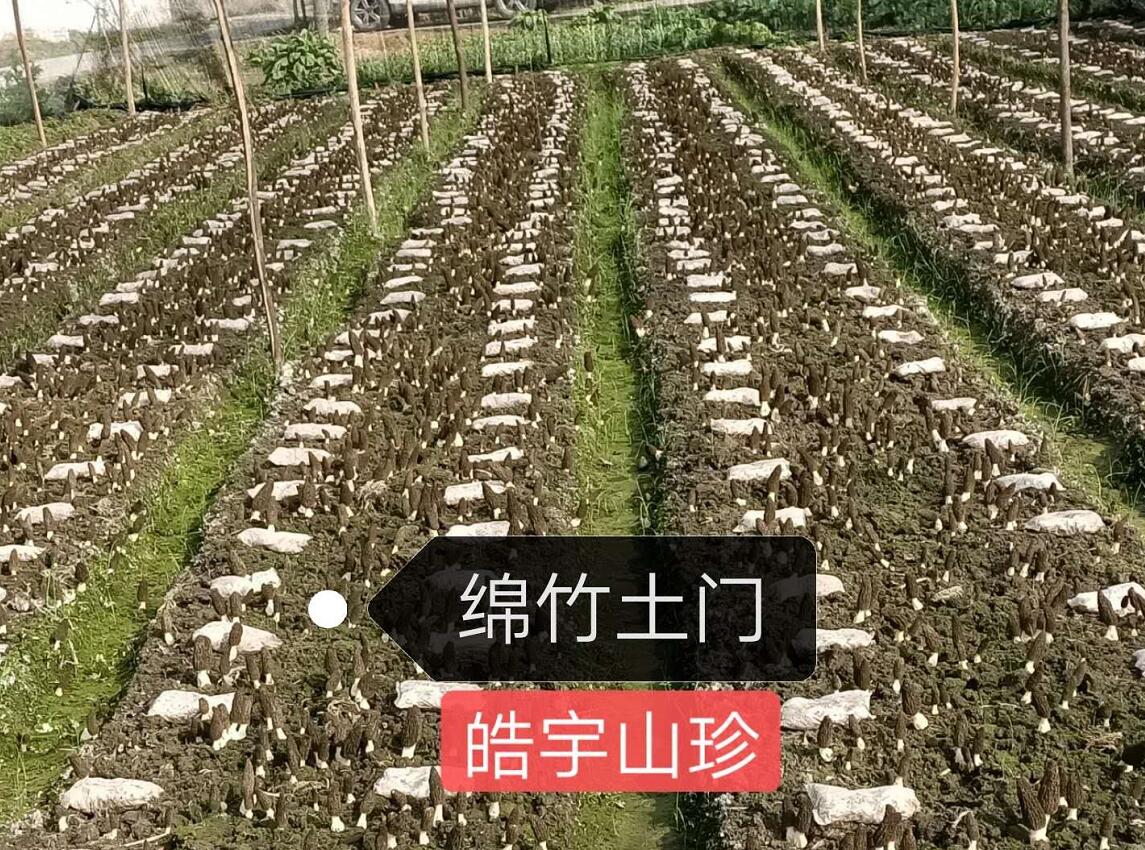 &#29233;&#28216;&#25103;&#23448;&#26041;&#32593;&#31449;&#45;&#29233;&#28216;&#25103;&#20840;&#31449;&#65;&#80;&#80;&#40;&#97;&#121;&#120;&#41;&#20013;&#22269;&#23448;&#26041;&#32593;&#31449;